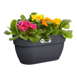 Elho Balkonbak Vibia Campana Easy Hanger Medium - Antraciet -Huisdecoratie balkonbak vibia campana easy hanger medium antraciet balkonbak antraciet 4 1