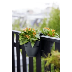 Elho Balkonbak Vibia Campana Twin 21cm - Antraciet -Huisdecoratie balkonbak vibia campana twin 21cm antraciet balkonbak antraciet 5 1