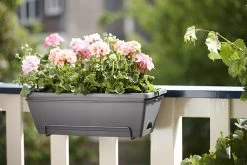 Balkonbak Elho Barcelona Allin 1 50cm - Antraciet -Huisdecoratie barcelona allin1 50cm plantenbak antraciet 7 18