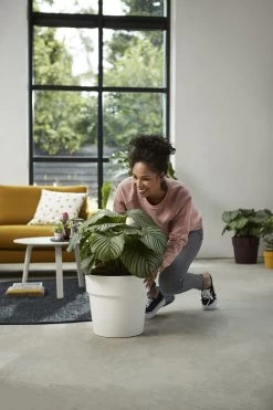 Bloempot Elho B.for Original Rond 25cm - Wit -Huisdecoratie bfor original rond 25cm bloempot wit 7 17