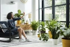 Bloempot Elho B.for Original Rond 30cm - Wit -Huisdecoratie bfor original rond 30cm bloempot wit 6 17