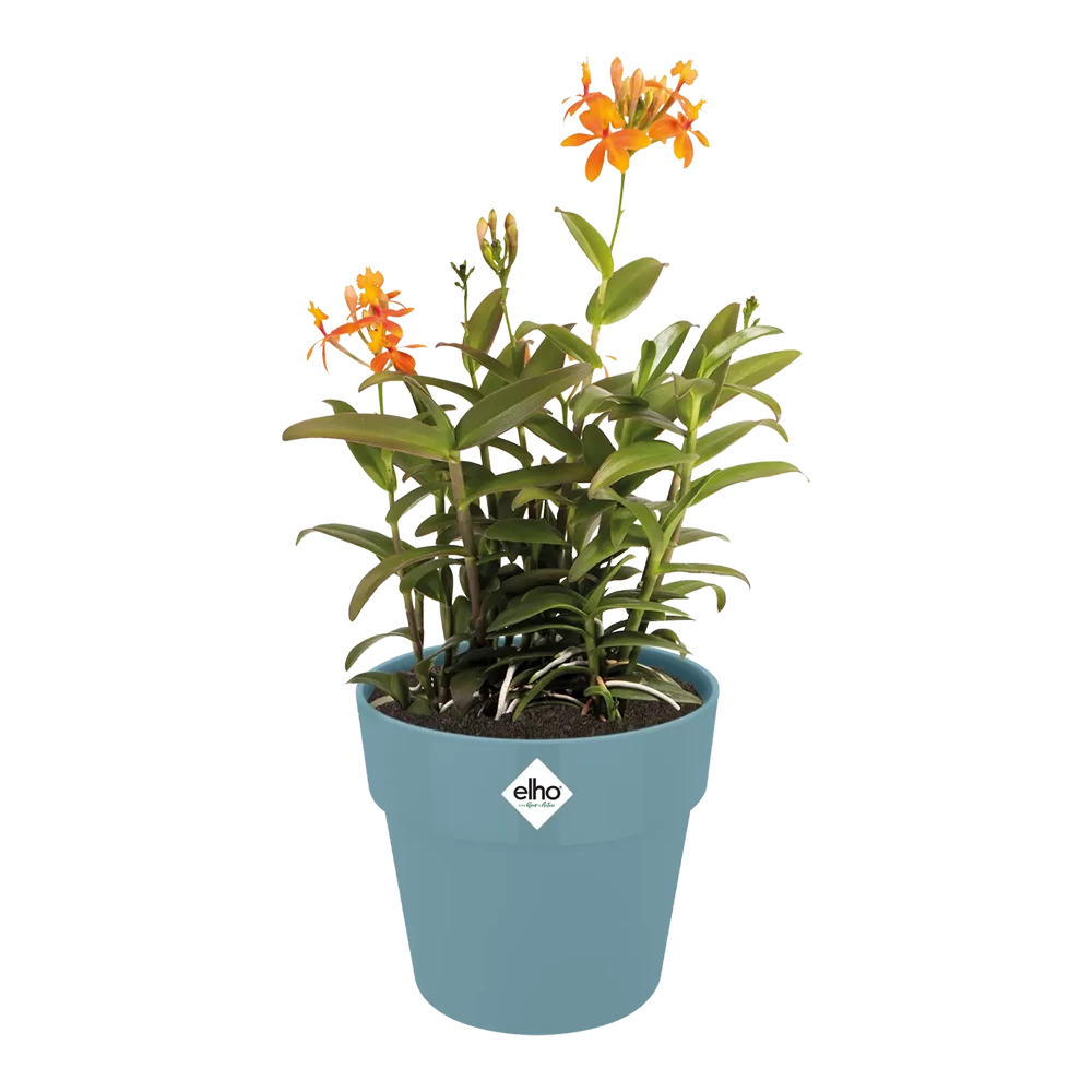 Bloempot Elho B.for Original Rond 30cm -Duifblauw 5 Bloempot Elho B.for Original Rond 30cm -Duifblauw - Afbeelding 3