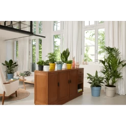 Bloempot Elho B.for Original Rond 30cm -Duifblauw 9 Bloempot Elho B.for Original Rond 30cm -Duifblauw -Huisdecoratie bfor original rond bloempot duifblauw 4 1