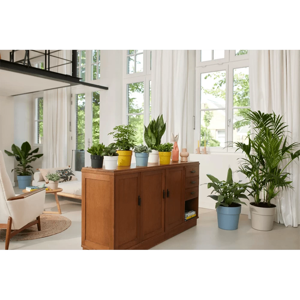 Bloempot Elho B.for Original Rond 30cm -Duifblauw 6 Bloempot Elho B.for Original Rond 30cm -Duifblauw - Afbeelding 4