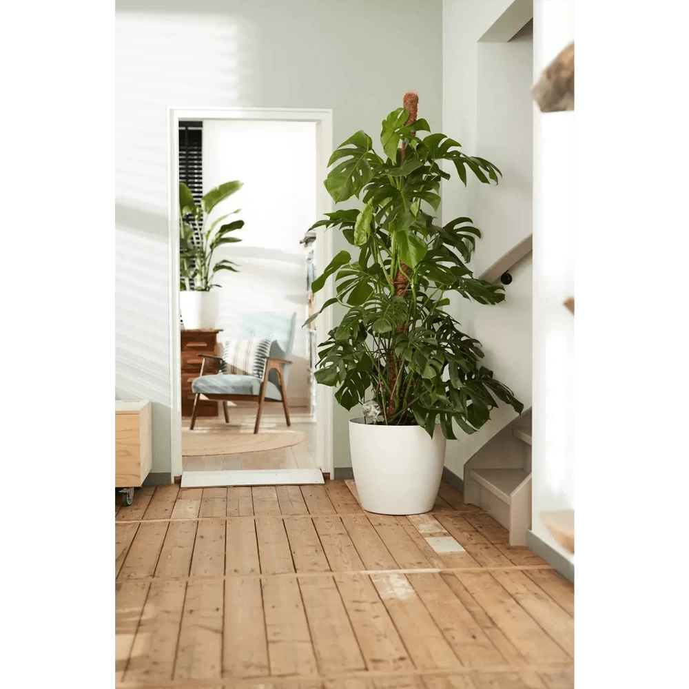 Bloempot Elho Brussels Rond 35cm - Met Wielen - Wit - Afbeelding 6