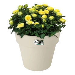 Bloempot Elho Green Basics Top Planter 40cm - Katoen Wit -Huisdecoratie bloempot elho green basics top planter katoen wit bloempot katoen wit 3 1 1