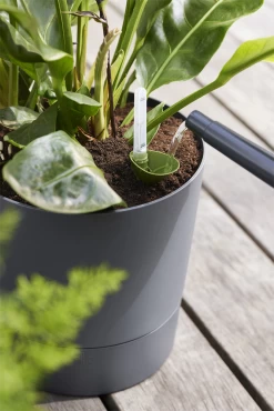 Bloempot Elho Greensense Aqua Care Rond - D43 X H34cm - Houtskoolgrijs -Huisdecoratie bloempot elho greensense aqua care rond d43 x h34cm houtskoolgrijs bloempot 6 1