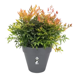 Bloempot Elho Loft Urban Rond 60cm - Antraciet -Huisdecoratie bloempot elho loft urban rond antraciet bloempot antraciet 3 2 1