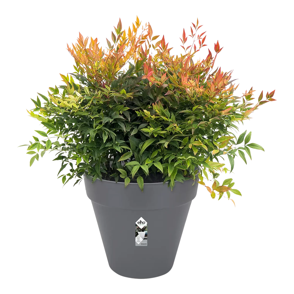 Bloempot Elho Loft Urban Rond 40cm - Antraciet 5 Bloempot Elho Loft Urban Rond 40cm - Antraciet - Afbeelding 3