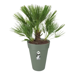 Bloempot Elho Loft Urban Rond Hoog 28cm - Pistache Groen -Huisdecoratie bloempot elho loft urban rond hoog 28cm antraciet bloempot pistache groen 3 1