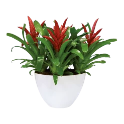 Bloempot Elho Brussels Diamond Ovaal Hoog 36cm - Wit -Huisdecoratie brussels diamond ovaal hoog 36cm bloempot wit 6 6