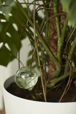 Aqua Care Elho - Transparant -Huisdecoratie elho aqua care transparant water geven 7 2