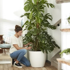 Bloempot Elho Brussels Rond 40cm - Met Wielen - Wit -Huisdecoratie elho brussels rond wielen 40 wit bloempot 7 7