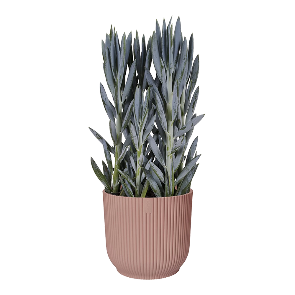 Bloempot Elho Vibes Fold Rond - D22 X H20cm - Delicaat Roze - Afbeelding 5