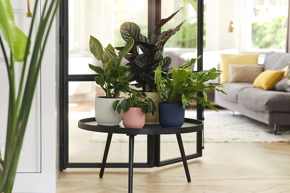 Bloempot Elho Vibes Fold Rond - D22 X H20cm - Zijdewit 8 Bloempot Elho Vibes Fold Rond - D22 X H20cm - Zijdewit - Afbeelding 6