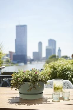 Plantenschaal Elho Greenville 33cm - Bladgroen 7 Plantenschaal Elho Greenville 33cm - Bladgroen -Huisdecoratie greenville schaal 33cm bloempot bladgroen 6 13