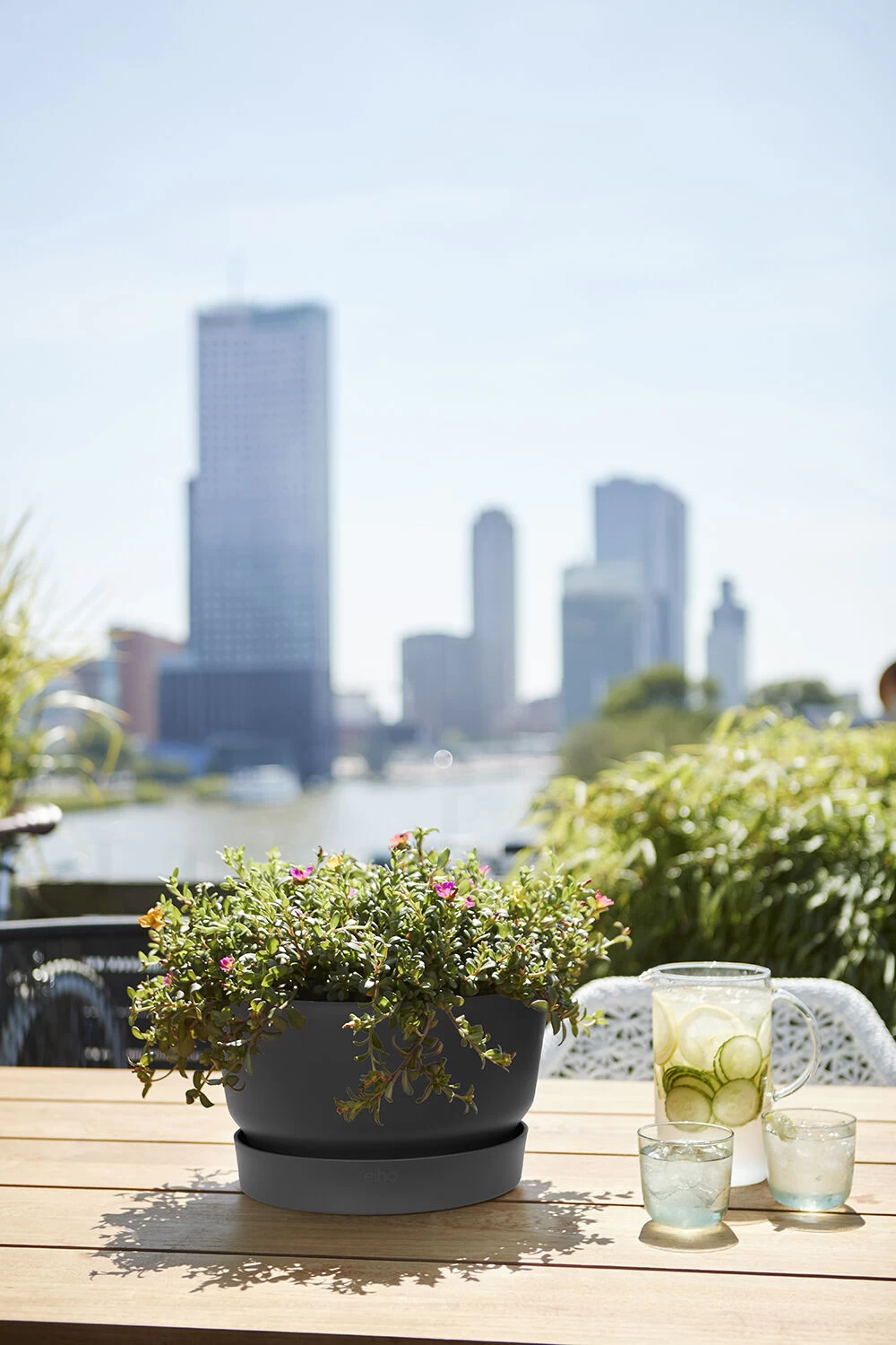 Plantenschaal Elho Greenville 33cm - Living Black 5 Plantenschaal Elho Greenville 33cm - Living Black - Afbeelding 3