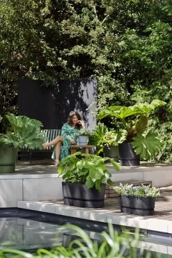 Bloembak Elho Greenville Terrace 60cm - Met Wielen - Living Black 11 Bloembak Elho Greenville Terrace 60cm - Met Wielen - Living Black -Huisdecoratie greenville terrace trough 60cm wheels plantenbak living black 7 13