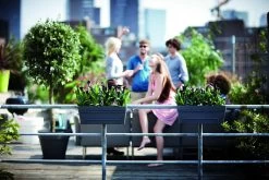 Balkonbak Elho Loft Urban 50cm - Antraciet -Huisdecoratie loft urban balkonbak 50 plantenbak antraciet 6 13