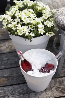 Bloempot Elho Loft Urban Rond 30cm - Antraciet -Huisdecoratie loft urban rond 30 bloempot antraciet 6 15