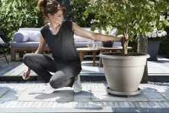 Plantentaxi Elho Universeel 40cm - Antraciet -Huisdecoratie universele planttaxi 40cm schotel antraciet 6 11