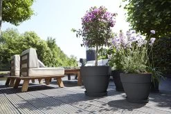 Bloempot Elho Vibia Campana Rond 40cm - Antraciet -Huisdecoratie vibia campana rond 40 bloempot antraciet 6 11