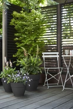 Bloempot Elho Vibia Campana Rond 55cm - Antraciet -Huisdecoratie vibia campana rond 55 bloempot antraciet 7 11