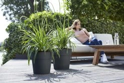 Bloempot Elho Vibia Straight Rond 30cm - Antraciet 7 Bloempot Elho Vibia Straight Rond 30cm - Antraciet -Huisdecoratie vibia straight rond 30cm bloempot antraciet 7 11