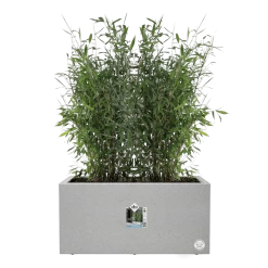 Elho Vivo Next Lang Wielen 80cm - Warm Grijs -Huisdecoratie vivo matt lang wielen 80cm warm grijs 5 1