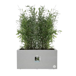 Elho Vivo Next Lang Wielen 60cm - Warm Grijs 13 Elho Vivo Next Lang Wielen 60cm - Warm Grijs -Huisdecoratie vivo next lang wielen 60cm warm grijs 5 1