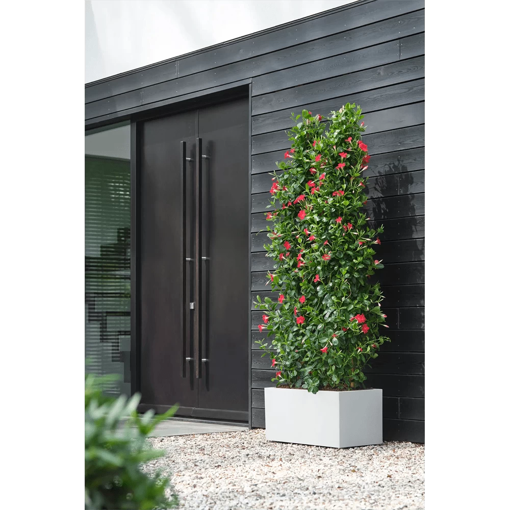 Elho Vivo Next Lang Wielen 60cm - Wit 8 Elho Vivo Next Lang Wielen 60cm - Wit - Afbeelding 6