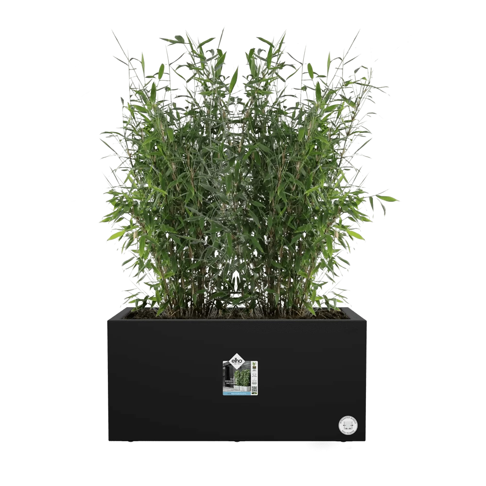 Elho Vivo Next Lang Wielen 80cm - Living Black 7 Elho Vivo Next Lang Wielen 80cm - Living Black - Afbeelding 5