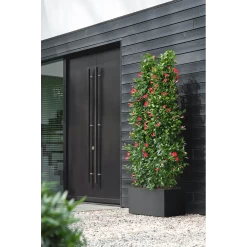 Elho Vivo Next Lang Wielen 80cm - Living Black 14 Elho Vivo Next Lang Wielen 80cm - Living Black -Huisdecoratie vivo next lang wielen 80cm living black 6 1