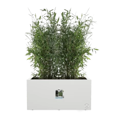 Elho Vivo Next Lang Wielen 80cm - Wit -Huisdecoratie vivo next lang wielen 80cm wit 5 1