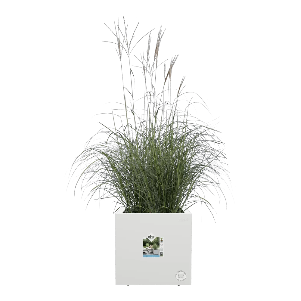 Elho Vivo Next Vierkant Wielen 30cm - Wit 7 Elho Vivo Next Vierkant Wielen 30cm - Wit - Afbeelding 5