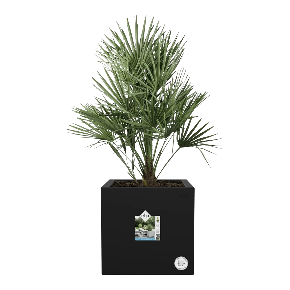 Elho Vivo Next Vierkant Wielen 40cm - Living Black 6 Elho Vivo Next Vierkant Wielen 40cm - Living Black - Afbeelding 4